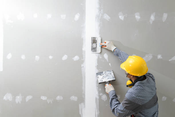 Best Mold Damage Restoration  in Bath, MI