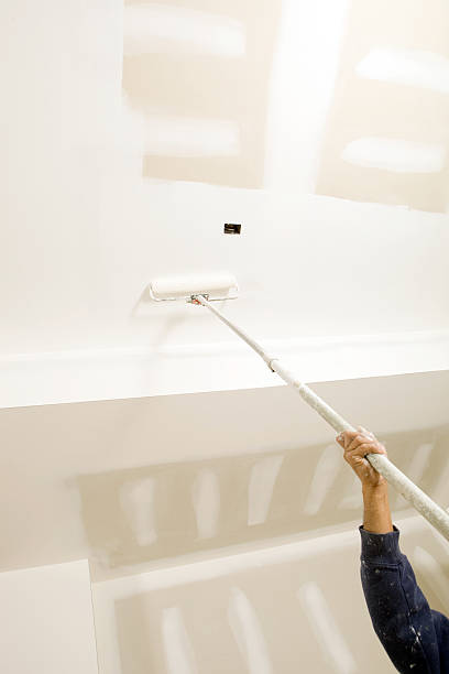 Best Mold Remediation for Vacation Homes  in Bath, MI